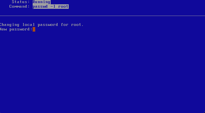 001-netbsd-minimal-installation-021.png