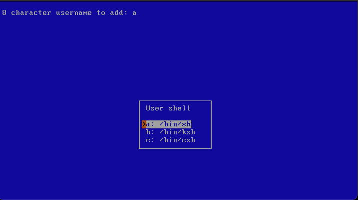 001-netbsd-minimal-installation-026.png